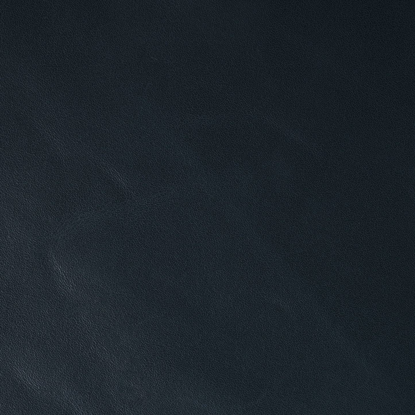 Double Cardholder🎄🎅🏽🎁