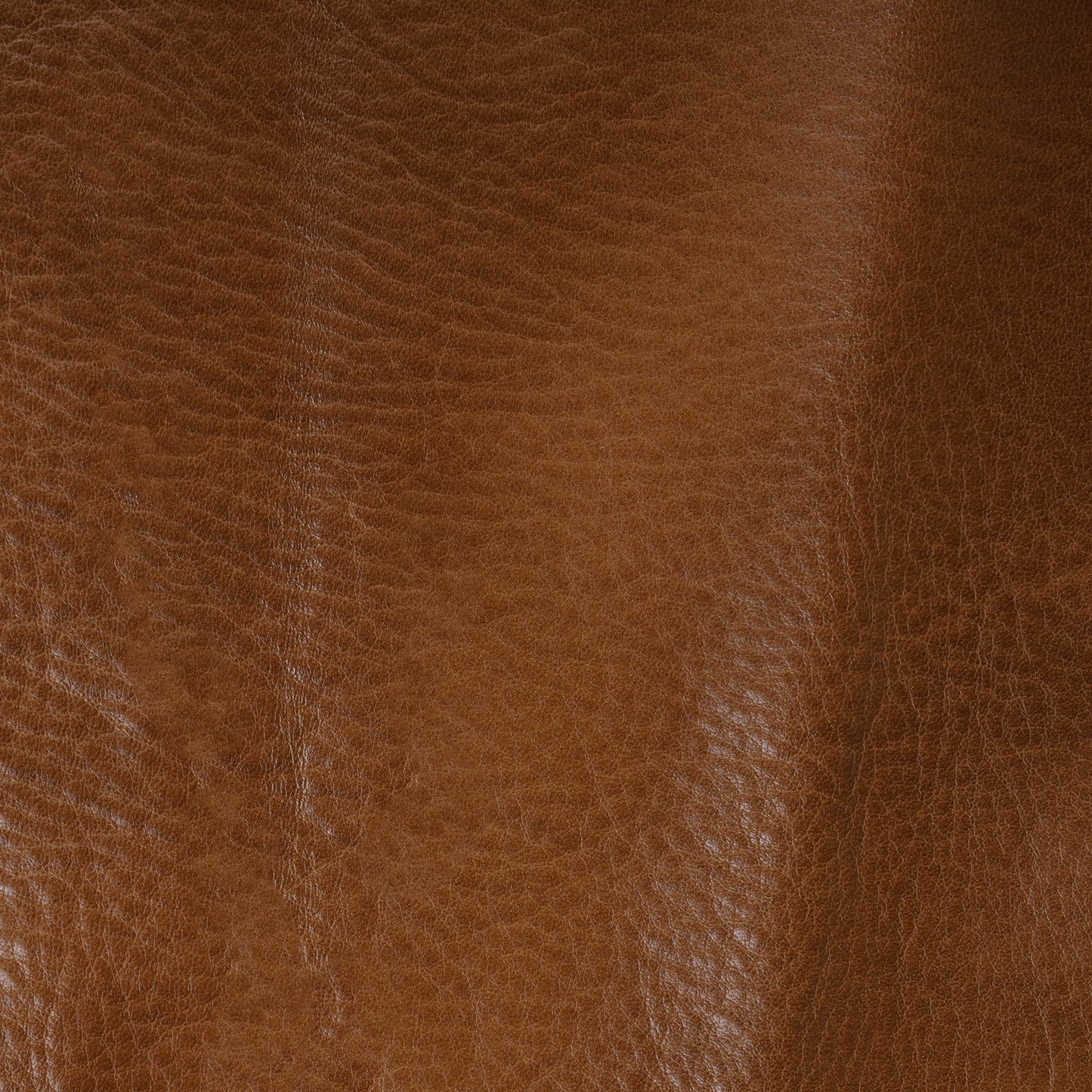 Crossbody🎄🎅🏽🎁