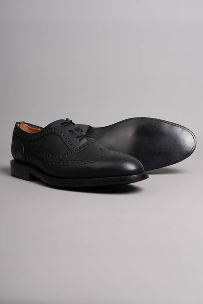 Coleman LTD