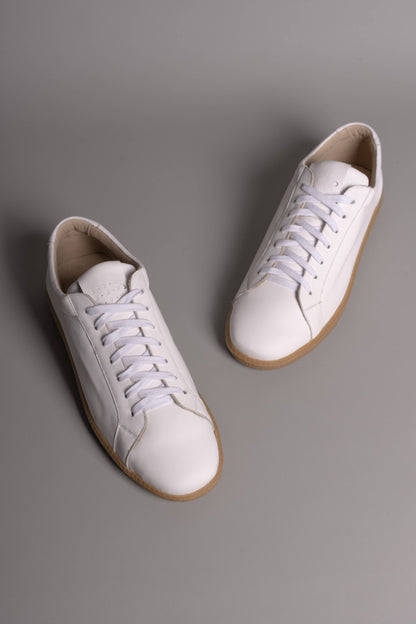 No.2 Project Trainer