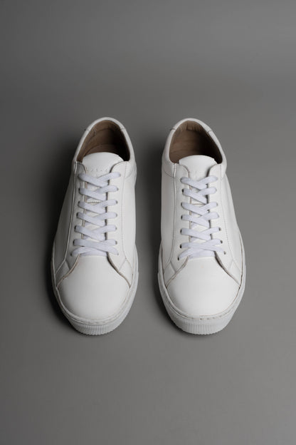 No.Project Trainer