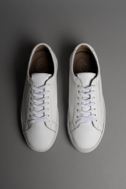 No.Project Trainer