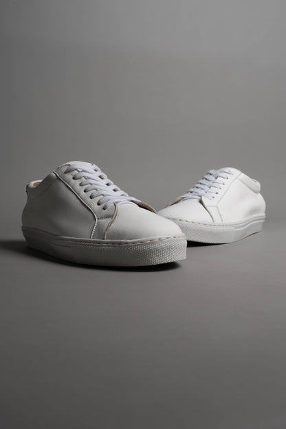 No.Project Trainer