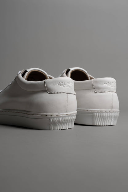 No.Project Trainer