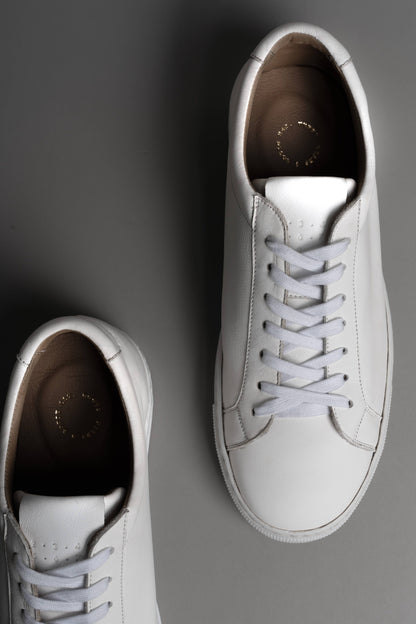 No.Project Trainer