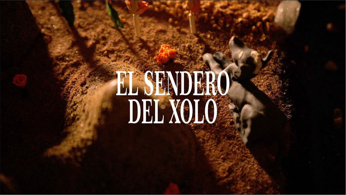 Cargar video: 